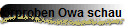 H�rproben Owa schau